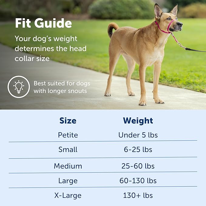 PetSafe Gentle Leader No-Pull Head Collar for Dogs, Dog Head Collar - The Ultimate Solution to Pulling, Padded Nose Loop, Quick-Snap Neck Strap, Dog Halter, Medium - Raspberry Pink