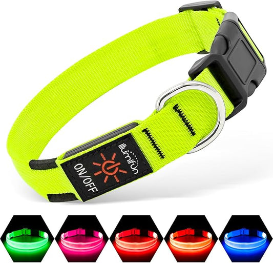Illumifun Light Up Dog Collar, USB Rechargeable LED Dog Collar Adjustable Glow in The Dark Pet Collar Safety Dog Lights for Night Walking (Green, Medium)