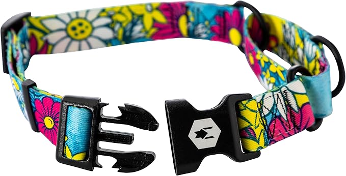 Wolfgang Heavy Duty Martingale Dog Collar with Quick Release Nylon Buckle for Walking & Training, LazyDaisy Print, Large