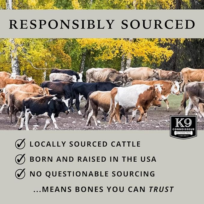 K9 Connoisseur Beef Marrow Dog Bones Long Lasting for Aggressive Chewers - USA Made Single Ingredient Dynamo Bone for Small and Medium Dogs Upto 50 Pounds - 12 Pack