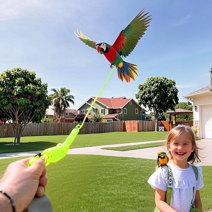 Parrot Bird Harness Leash Anti-bite Outdoor Flying Training Rope with 5pcs Different Sizes of Soft Foot Loops and Training Whistle(Upgraded Version of Ankle Ring)