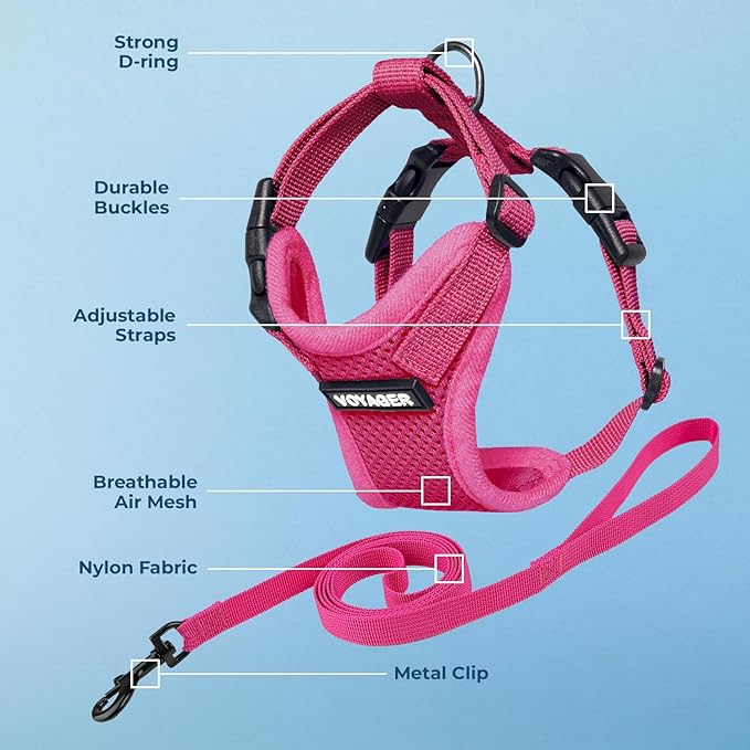 Voyager Step-in Lock Adjustable Cat Harness w. Cat Leash Combo Set with Neoprene Handle 5ft - Supports Small, Medium and Large Breed Cats by Best Pet Supplies - Fuchsia, XXXS