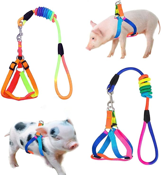 2 Pieces Adjustable Pig Harness with Leash Set Pet Pig Supplies Harness with Leash Set for for Hog Piggy Rabbit Small Animals Walking Jogging (S, Multicolor)