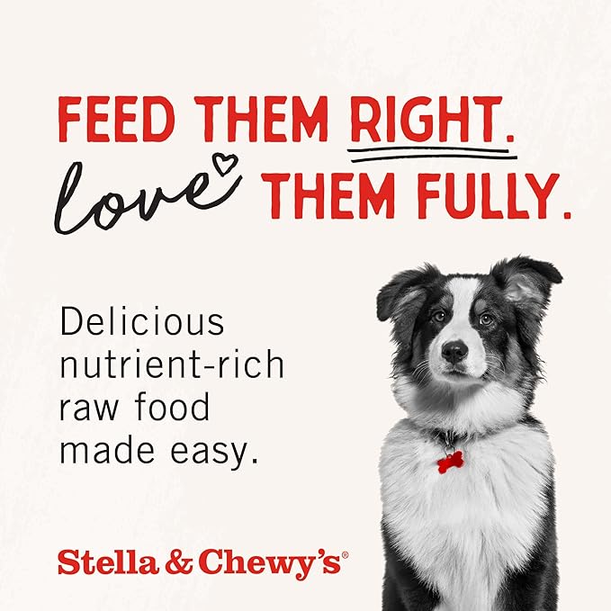 Stella & Chewy's Freeze-Dried Raw Dinner Patties - Absolutely Rabbit Recipe - High Protein Grain-Free Puppy & Dog Food - Perfect For Picky Eaters - 14 oz