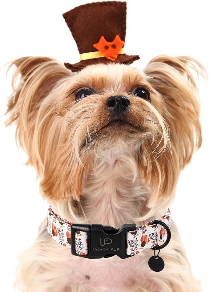 Thanksgiving Dog Collar, Turkey Cotton for Dog or Cat, Autumn Puppy With Lightweight Plastic Buckle, Great Gift for Girl Boy Dogs, XS