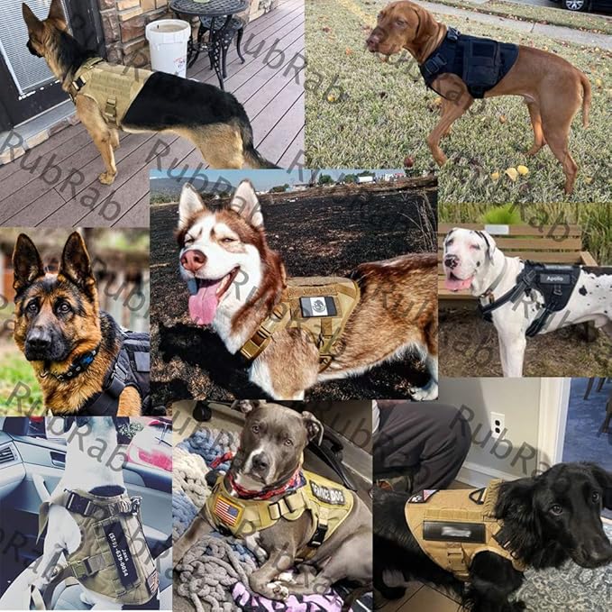 Tactical Dog Harness Vest with Handle Military Working Training Molle Vest with Metal Buckles & Loop Panels Free Bungee Dog Leash (S, Camouflage Harness with Leash)