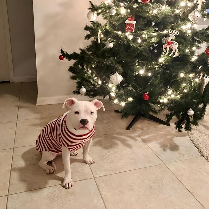 NACOCO Santa Claus Pet Sweater Dog Sweaters Cold Weather Outfit for Small to Medium Sized Dogs and Cats for Christmas Day (Santa Claus, Small)