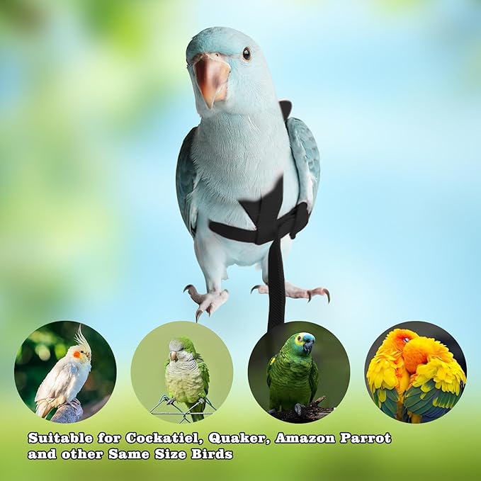 Adjustable Bird Leashes and Harnesses, Bird Nylon Harness with Cute Wing for Parrots, Pet Bird Accessories, Bird Leash for Hang Out, Suitable for Cockatiel, Quaker, Amazon Parrot and Same Size Birds