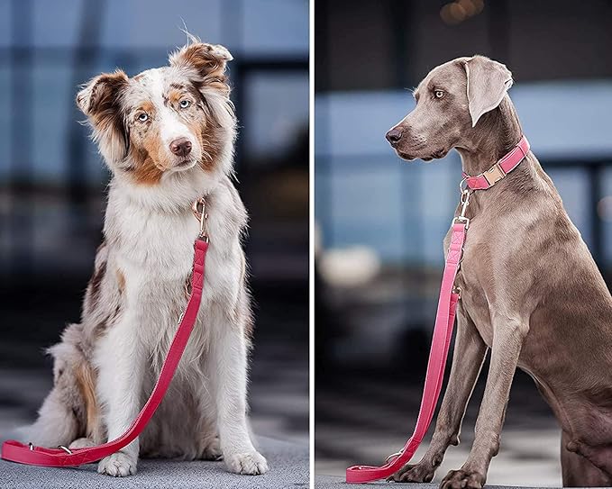 Soft Leather Dog Collar and Leash (6.6') Set - Stylish Rose Gold Heavy Duty Metal Buckle, 4 Adjustable Lengths Leash for Small Medium Large Dogs - Comfortable & Easy to Clean Dark Pink L(15.4"-24.8")