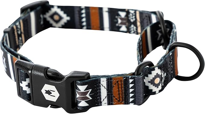 Wolfgang Heavy Duty Martingale Dog Collar with Quick Release Nylon Buckle for Walking & Training, NewMoon Print, Small
