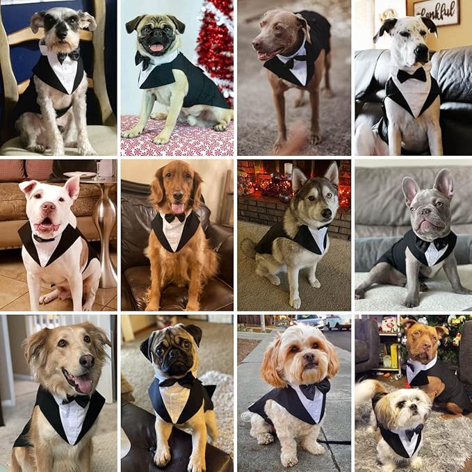 Tuxedo & Bandana Set, 2 Pack Pet Costume: Puppy Formal Party Suit - Dog Clothes for Small, Medium & Large Dogs - Prince Bow Tie Shirt - Wedding Attire for Golden Retriever & Samoyed (S)
