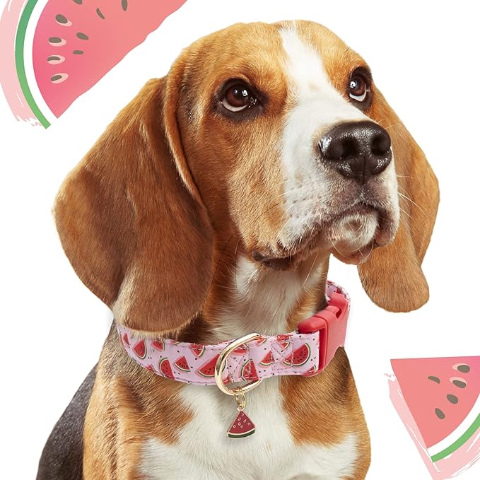 Faygarsle Cute Dog Collar for Girls Boy Dogs Soft Fancy Pet Collar with Watermelon Design Ideal Pink Summer Dog Collar for Small Medium Large Dogs M
