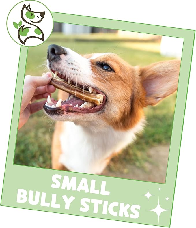 Nature Gnaws Small Bully Sticks for Dogs 5-6" (25 Count) - Long Lasting for Light Chewers and Puppies - Natural Thin Beef Dog Chew Bones - Rawhide Free