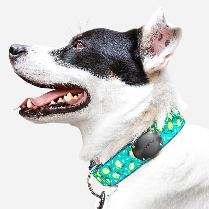 Elevation Lab TagVault AirTag Dog Collar Mount (Pack of 4) - IP69 Waterproof, Doesn't Dangle, Fits All Width Collars, Elevation Lab - Black