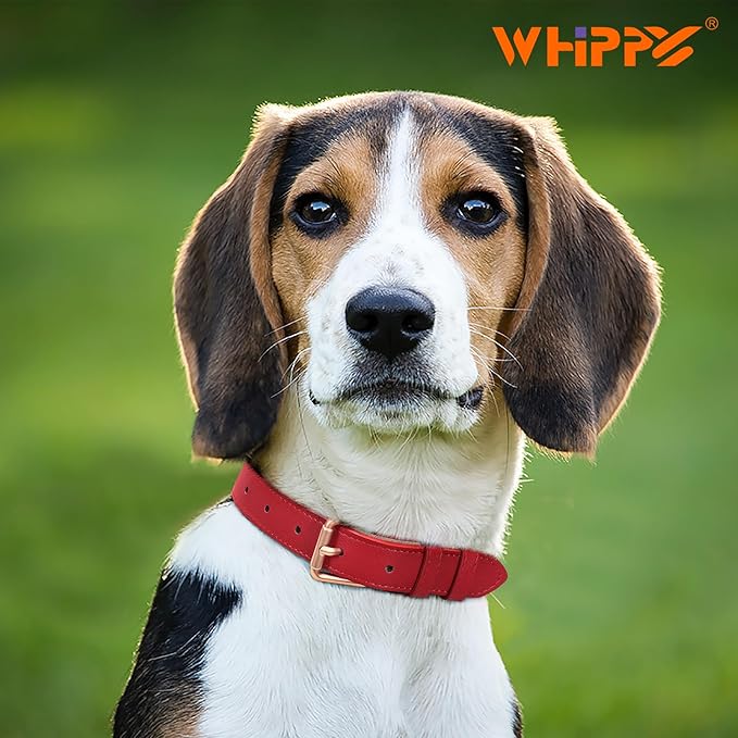 WHIPPY Leather Dog Collar for Small Medium Large Dog Adjustable Soft Breathable Leather Padded Puppy Collar with Alloy Buckle Heavy Duty Waterproof Classic Dog Pet Collar,red,XS