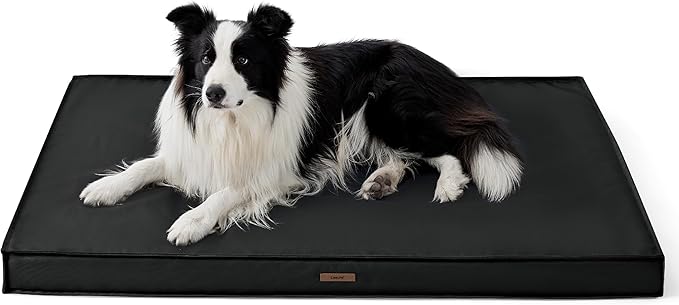 Lesure Outdoor Waterproof Dog Bed for Crate, Orthopedic Egg Crate Foam Pet Bed with Oxford Fabric Surface and Removable and Durable Cover, Machine Washable, 35''x22'', Black
