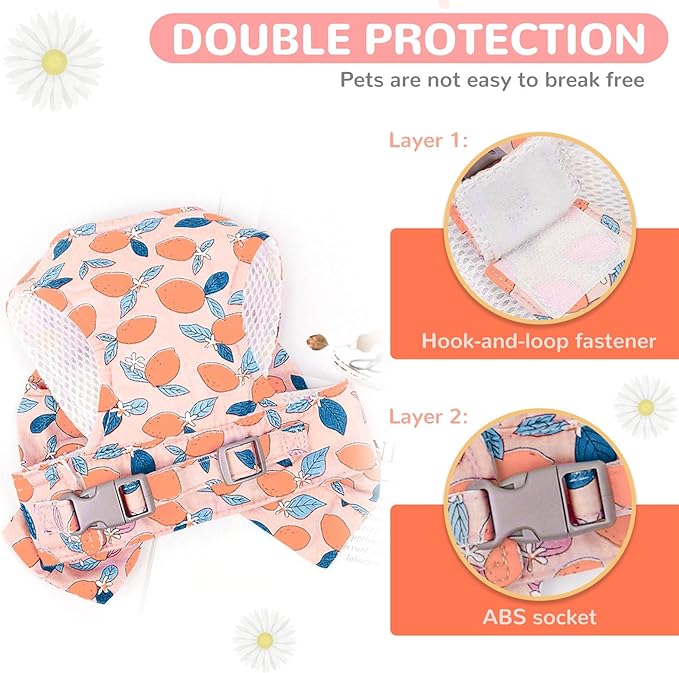 BAEJMJK Dog Harness and Leash Set with Bow Knot No Pull Pet Floral Harness with D-Ring Soft Mesh Dog Harness Vest Set Escape Proof Princess Puppy Harness for Small Girl Dogs Cats(Orange L)