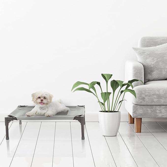 PETMAKER Elevated Dog Bed - 24.5x18.5-Inch Portable Pet Bed with Non-Slip Feet - Indoor/Outdoor Dog Cot or Puppy Bed for Pets up to 25lbs (Gray)