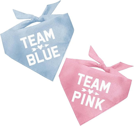 Team Pink & Team Blue Set | 100% Cotton Adjustable Triangle | Made in USA | Pregnancy Announcement Photoshoot Prop | New Baby | Gender Reveal | Baby Pink & Baby Blue 2 Pack X-Small (210)