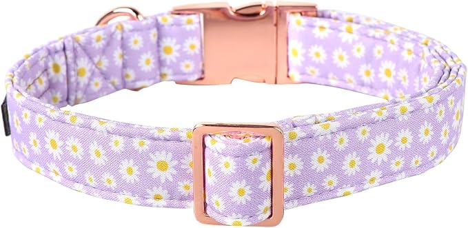 Lionet Paws Dog Collar, Comfortable Adjustable Cute Collar with Metal Buckle for Male Female Puppies, Purple Daisy, XS, Neck 8-12 inches