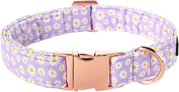 Lionet Paws Dog Collar, Comfortable Adjustable Cute Collar with Metal Buckle for Male Female Dogs, Purple Daisy, Small, Neck 10-16 inches