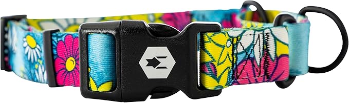 Wolfgang Heavy Duty Martingale Dog Collar with Quick Release Nylon Buckle for Walking & Training, LazyDaisy Print, Large