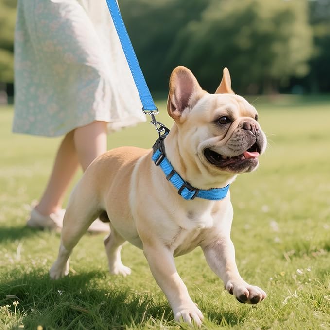 Joytale Reflective Dog Collar,Soft Neoprene Padded Breathable Nylon Pet Collar Adjustable for Medium Dogs,Sky Blue,M