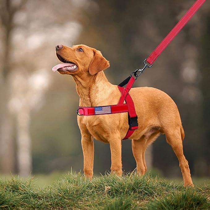 Annchwool No Pull Dog Harness with Soft Padded Handle,Reflective Strip Escape Proof and Quick Fit to Adjust Dog Harness,Easy for Training Walking for Small & Medium and Large Dogs(Red,M)