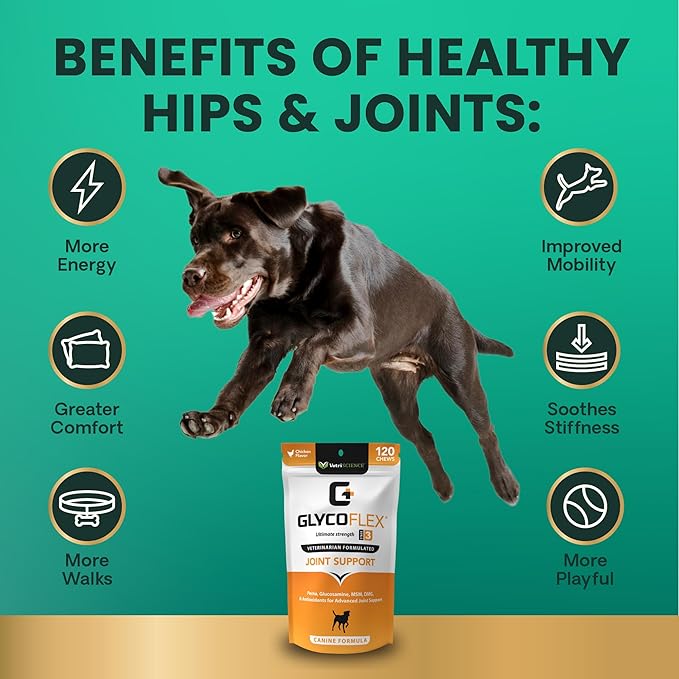 VETRISCIENCE Extra Strength Healthy Hip & Joint Chews, GlycoFlex Glucosamine and Green Lipped Mussels for Dogs, Promote Mobility and Soothe Joint Discomfort, Chicken, 60 Count