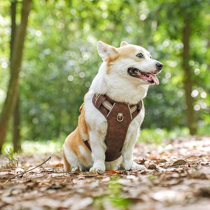 Beirui Dog Harness for Large Dogs, Stylish Oxford Leather Pet Vest with 2 Leash Clips, Adjustable Reflective Soft Padded No Pull Harness with Easy Control Handle for Walking, Chest 31-44"