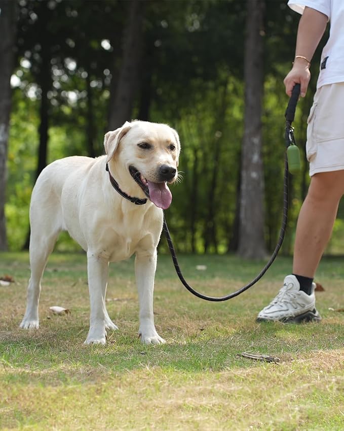 Joytale Reflective Dog Leash, Heavy Duty Nylon Rope with Poop Bag Holder, Highly Reflective Threads Leashes for Medium Large Dogs, Black, 6'×1/2''
