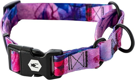 Wolfgang Heavy Duty Martingale Dog Collar with Quick Release Nylon Buckle for Walking & Training, Daydream Print, Large