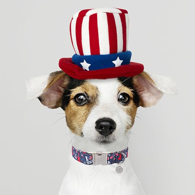 Patriotic Dog Collar, 4th of July Dog Collar, American Flag Collar for Puppy Boy Girl Dog or Cat, Comfortable Summer Collar with Metal Buckle, S