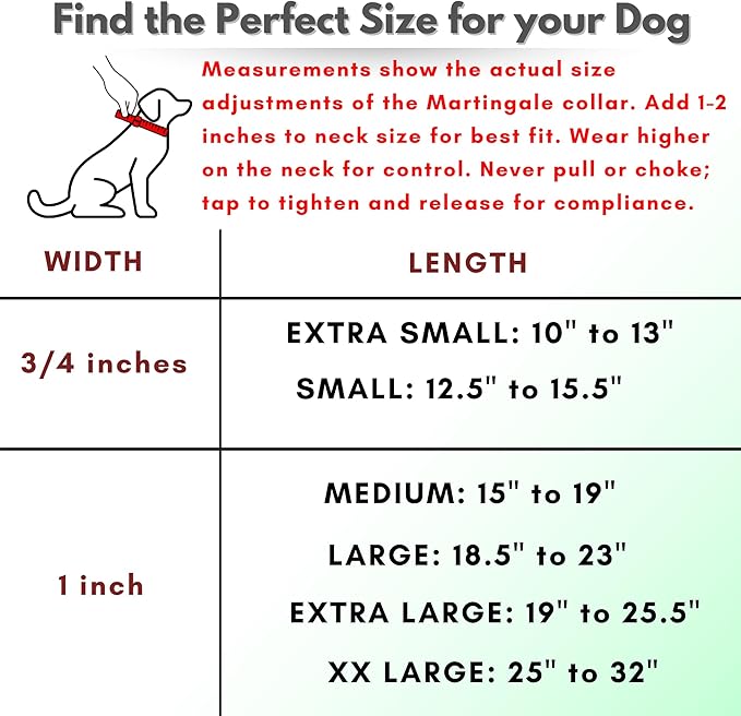 Martingale Collar for Dogs, Biothane, Stainless Steel Hardware, No Pull, Made in The USA, Professional Grade, XS, Orange