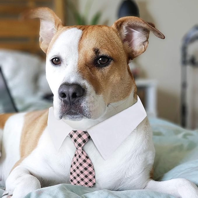 Segarty Bow Tie Dog Collar, 6 Pieces Adjustable Pets Dog Cat Neck Ties Pet Necktie with Suit White Collar for Medium Large Dogs Tuxedo Costumes Grooming Accessories, Dog Tux Ties for Wedding