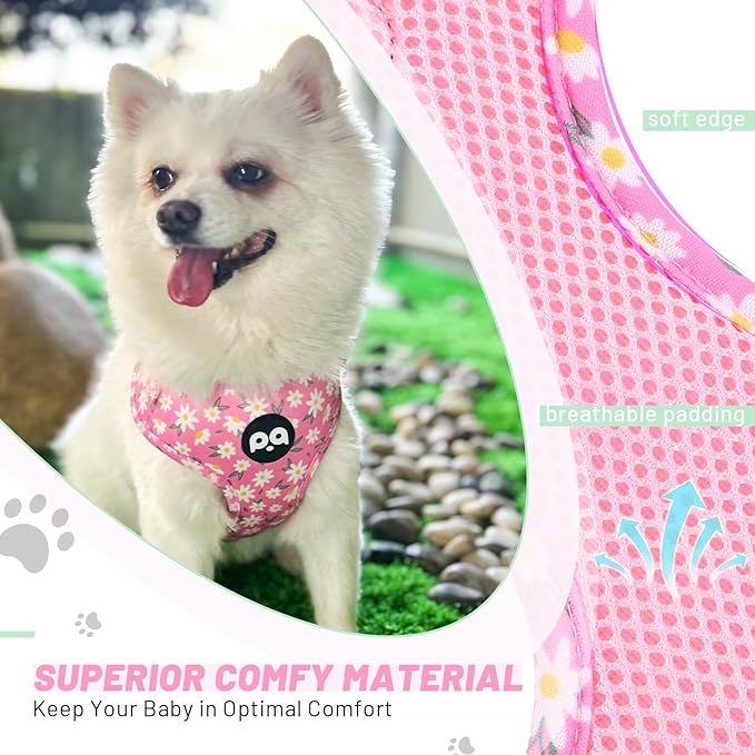 QQPETS Dog Harness Collar Leash with Poop Bag Holder 4 PCS Set, Adjustable No Pull Soft Mesh Padded Vest for Small Medium Large Pet Puppy Outdoor Walking (Daisy Pink, XS (Chest 12.1”-18.9”))