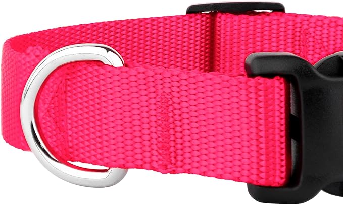 Country Brook Petz - American-Made Dog Collar for Large, Medium, and Small Dogs and Puppies - Deluxe Heavy Duty Nylon in 33 Dazzling Colors (Extra Large, 1 Inch Wide, Hot Pink)