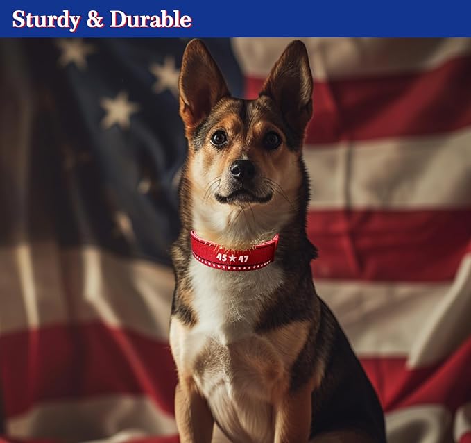 2024 American Blue Red Dog Collar, Embroidered Dog Collar, Adjustable for Small Medium Large Dogs, Congratulations.