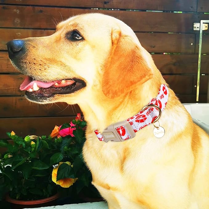 Faleela Dog Collar - Cute & Comfy Cotton Pet Collar, Adjustable Lightweight Design with Quick-Release Buckle, for Small, Medium & Large Dogs - Multiple Styles Available (Valentine, Large)