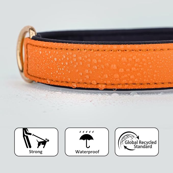 Didog Soft Padded Dog Collars for Medium Dogs, Lightweight and Breathable Dog Collar Waterproof with Metal Buckle, Orange, M