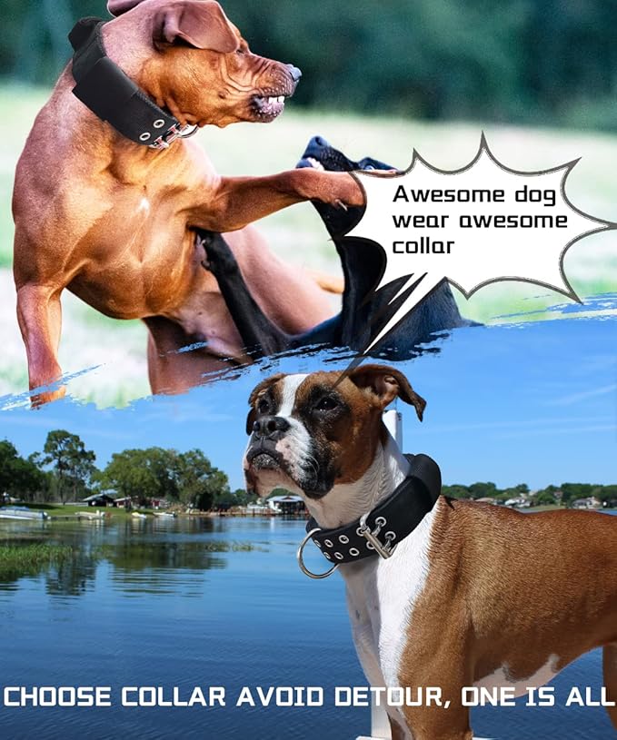 Large Dog Collar - Black Heavy Duty Collars for Gaint Breed Dogs, 2 inch Wide with Handle Strong Nylon and Stainless Hardware Tactical Collar, Good Choice for Large Dogs 17"-22"