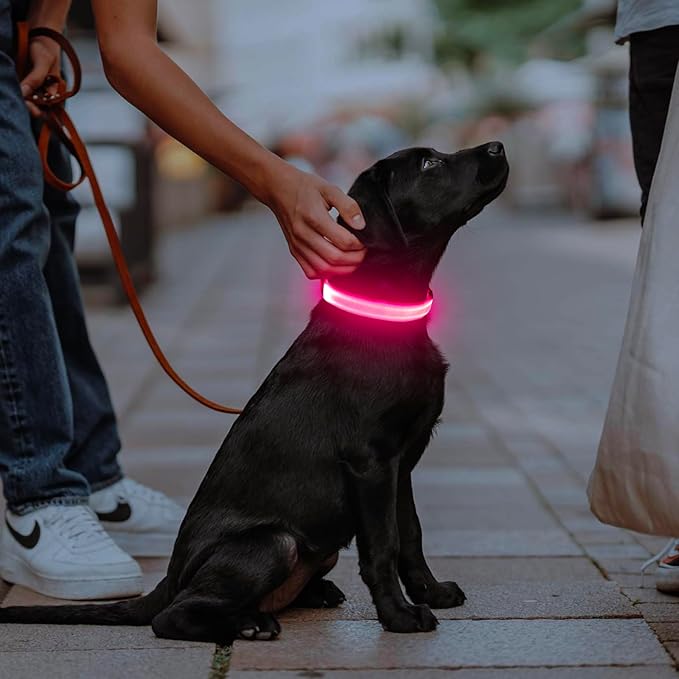 Illumifun LED Dog Collar - USB Rechargeable Light Up Dog Collar, Adjustable Safety Collar Light for Your Dogs Glow in The Dark (Pink, Medium)