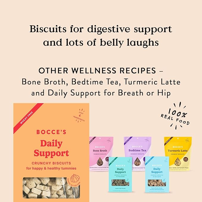 Bocce's Bakery Belly Daily Support Treats for Dogs, Wheat-Free Dog Treats, Made with Real Ingredients, Baked in The USA, Supports Digestive Health, All-Natural Pumpkin & Ginger Biscuits, 12 oz