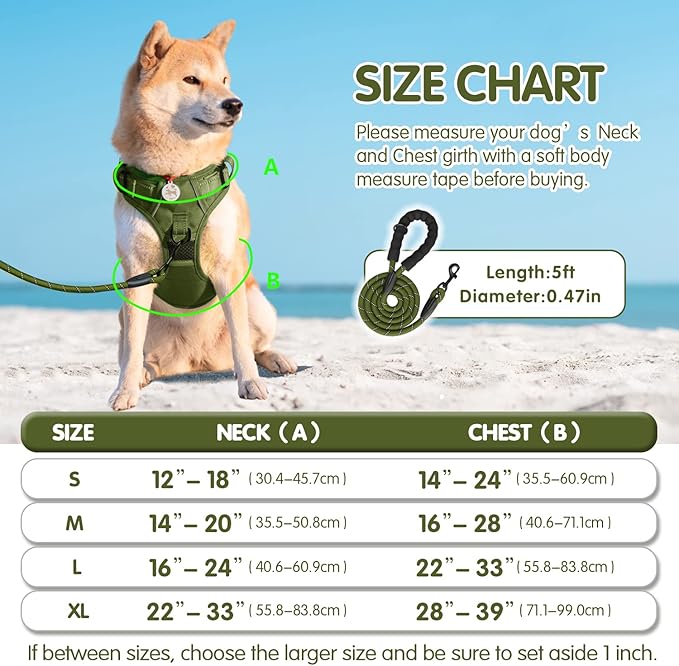 PoyPet No Pull Dog Harness and 5 Feet Leash Set, Release on Neck Reflective Adjustable Pet Vest, Front & Back 2 D-Ring and Soft Padded Pet Harness with Handle for Small to Large Dogs(Military Green,S)