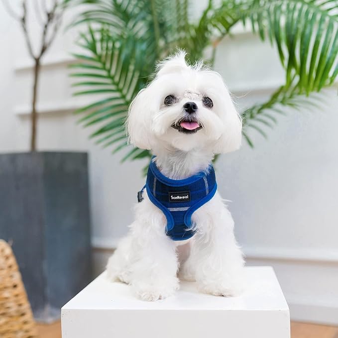 SCENEREAL Puppy Dog Harness with Leash Set for Small Medium Sized Dogs, Soft Mesh Step in Pet Harnesses and Leash, No Chock Plaid Adjustible No Pull Vest for Dogs Cats, Chihuahua,Bulldog (Blue XS)