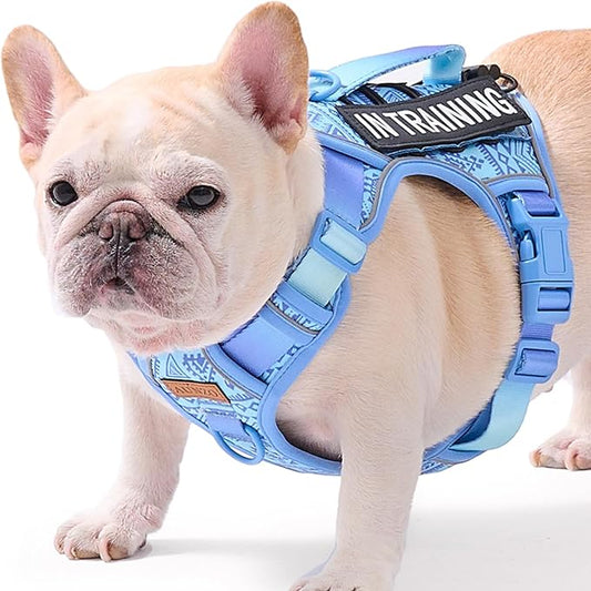 Light Dog Harness for Small Dog Breeds, French Bulldog Puggle Terriers, No-Pull Pet Harness with 2 Leash Clips, Adjustable Soft Padded Dog Vest, Reflective No-Choke Pet Oxford Vest, Blue, Small
