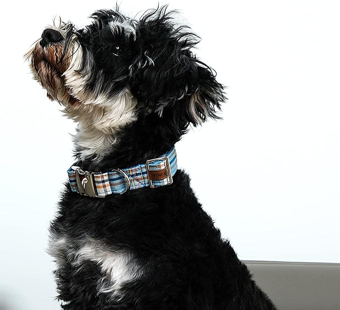 Lionet Paws Boy Dog Collar, Comfortable Adjustable Cute Blue Plaid Collar with Metal Buckle for Male Dogs, Large, Neck 16-24 inches