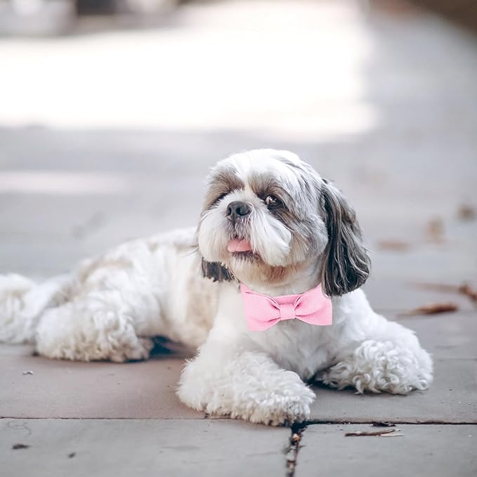 Segarty Dog Bow Tie Collar, Adjustable Pink Bowtie for Small Medium Dogs, Durable Cat Neck Tie Tuxedo Comfortable Cotton Girl Pets Grooming Accessories for Formal Wedding Holiday Birthday Gift Party
