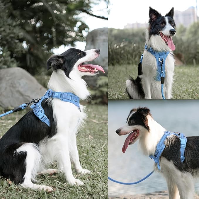 PoyPet No Pull Dog Harness and 5 Feet Leash Set, Release on Neck Reflective Adjustable Pet Vest, Front & Back 2 D-Ring and Soft Padded Pet Harness with Handle for Small to Large Dogs(Light Blue,M)
