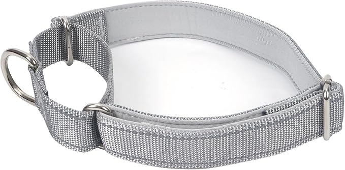 SGODA Martingale Dog Collar, Reflective Nylon Padded Dog Training Collars for Large Dogs, Grey L
